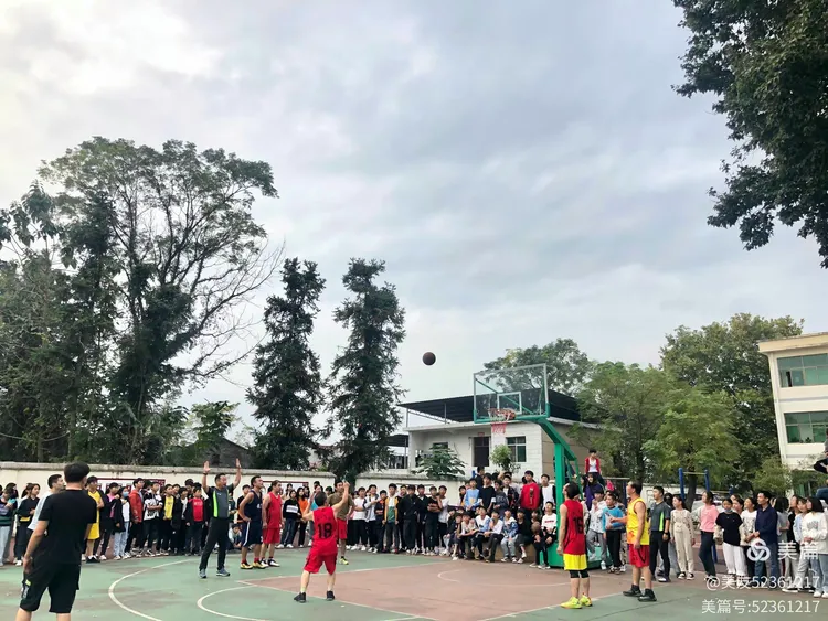 热血沸腾北美球员勇往直前夺得胜利