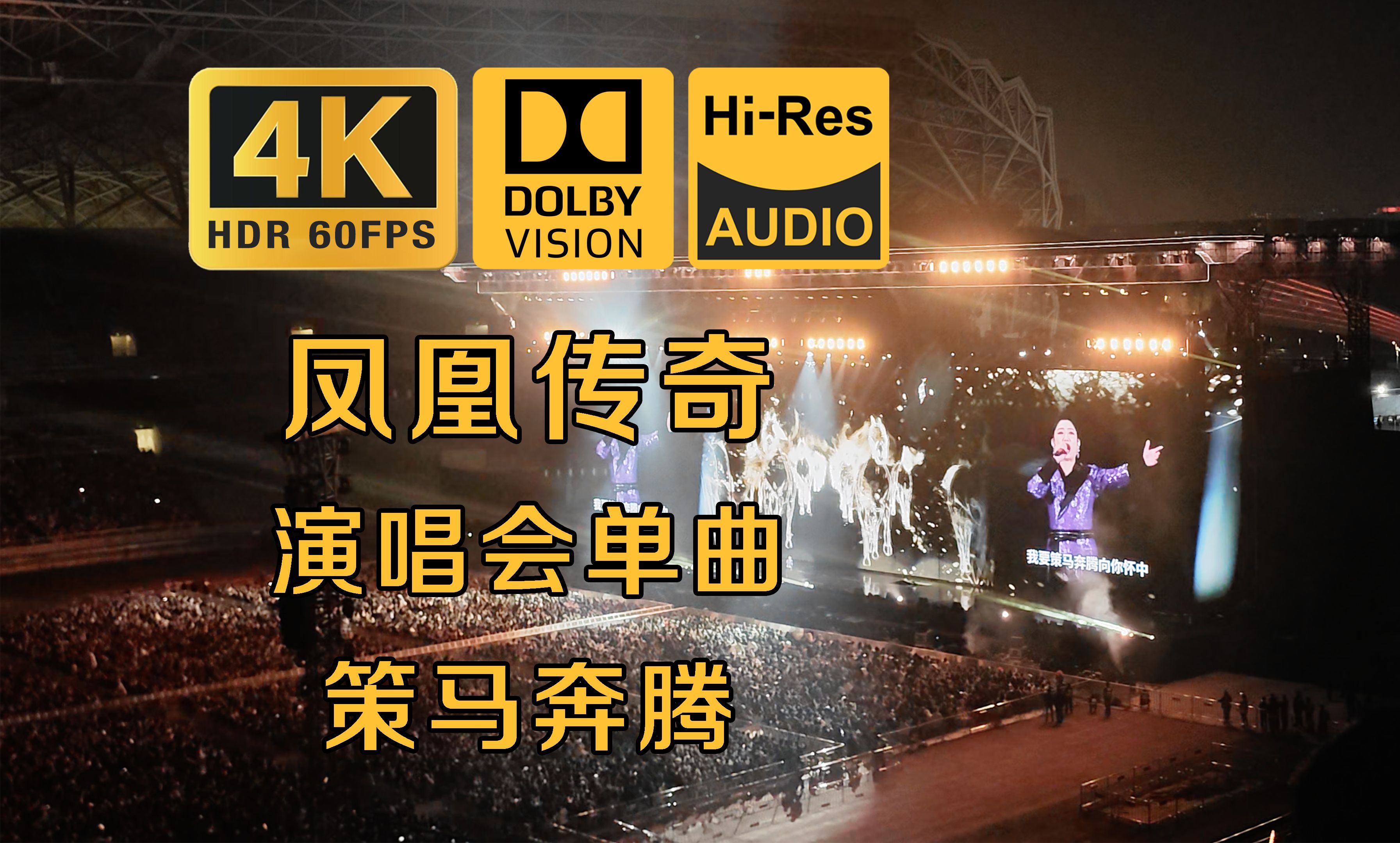 绽放无限的激情，飒飒向前奔腾