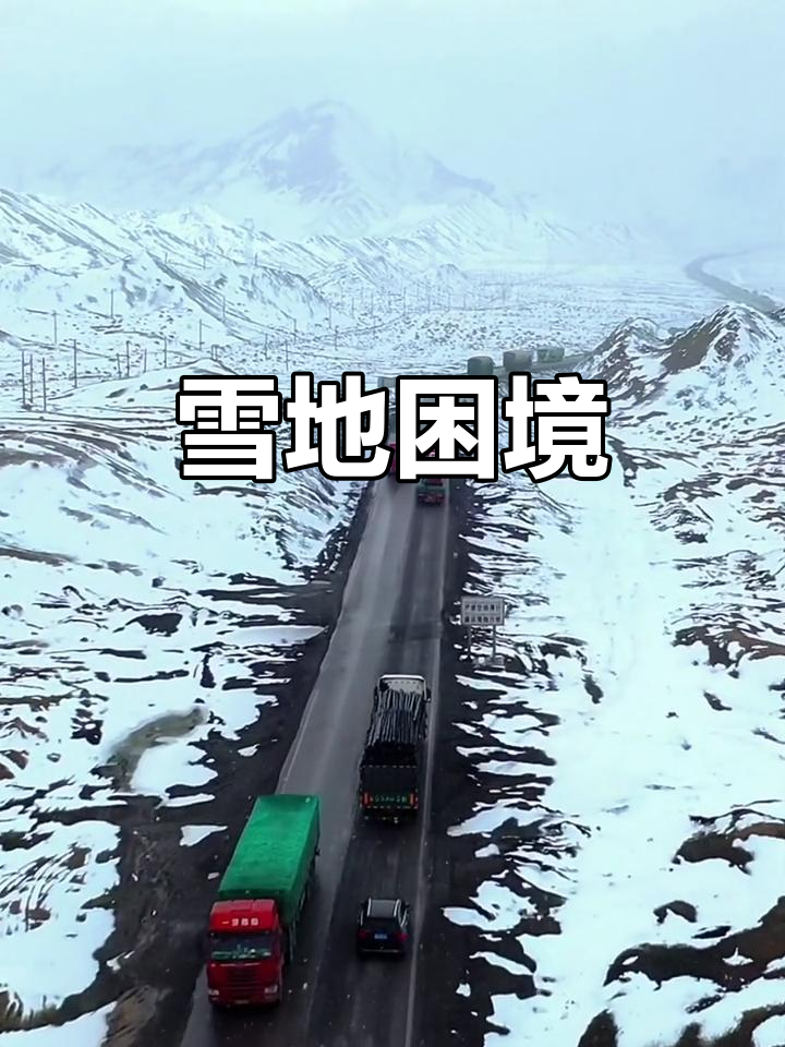 新疆雪豹客场艰难获胜，继续追赶